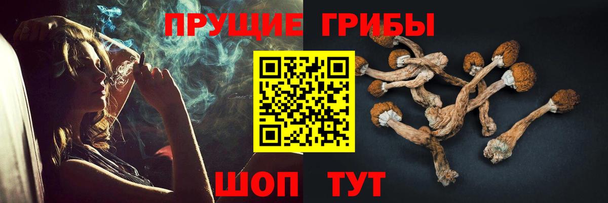 Псилоцибиновые грибы мицелий  Вход с VPN  Нижний Новгород 